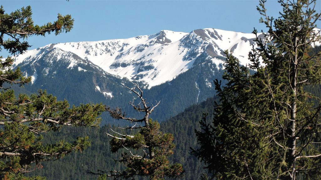 Elk Mountain, Olympic National Park