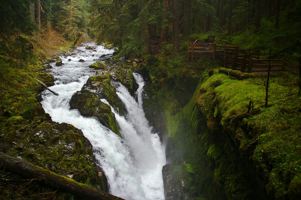 Sol Duc Falls, Olympic National Park