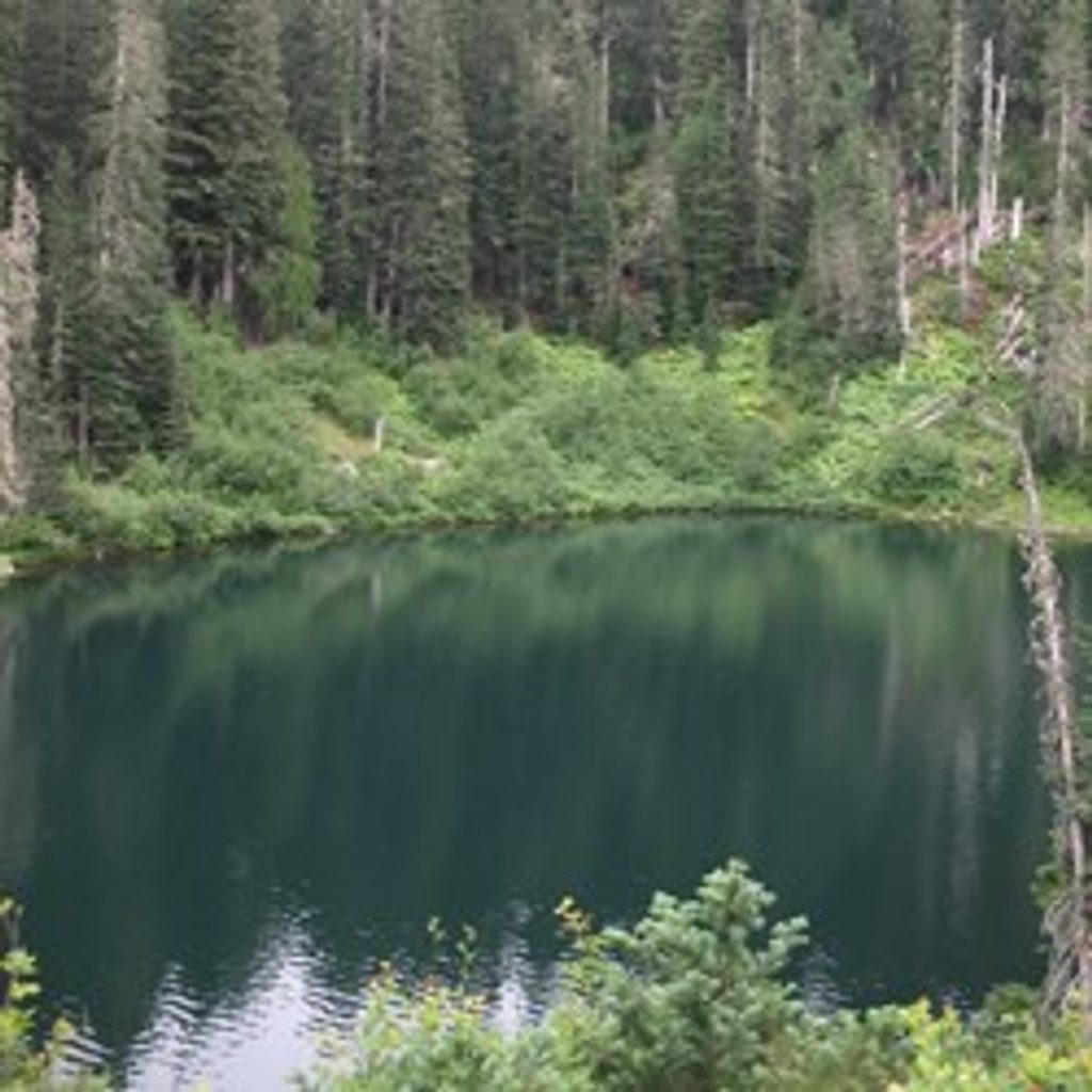 Wagonwheel Lake, Olympic National Park