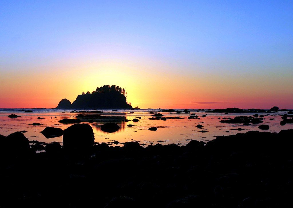 Cape Alava, Olympic National Park