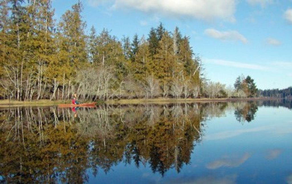 Ozette Lake, Olympic National Park