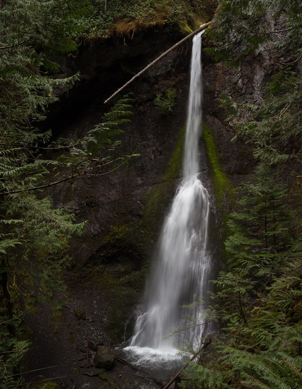 Marymere Falls, Olympic National Park