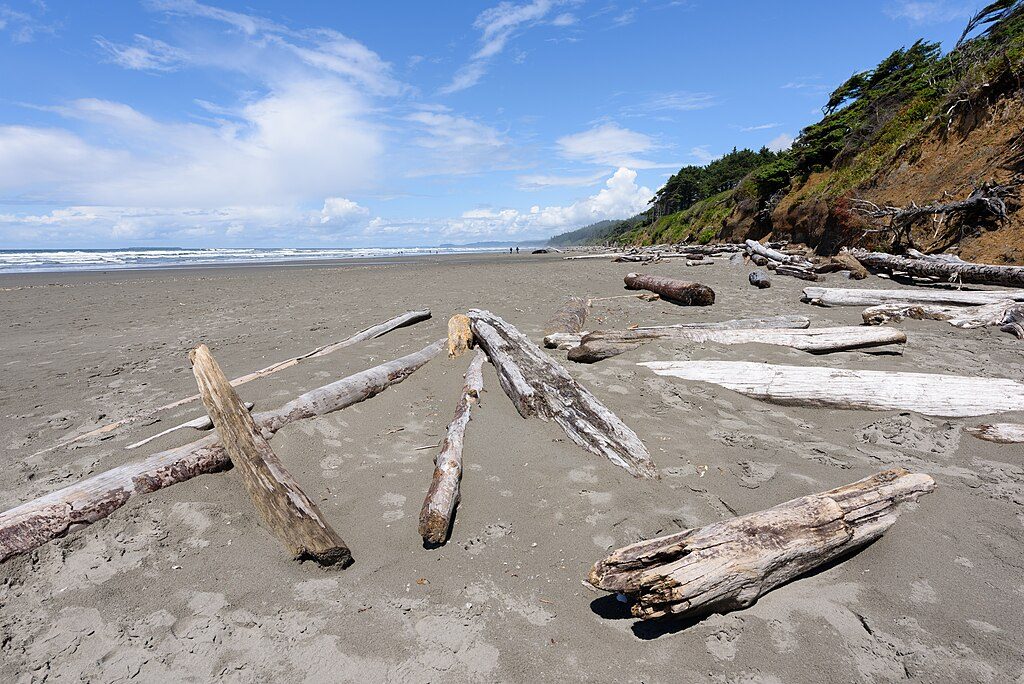Kalaloch Campground, Olympic National Park
