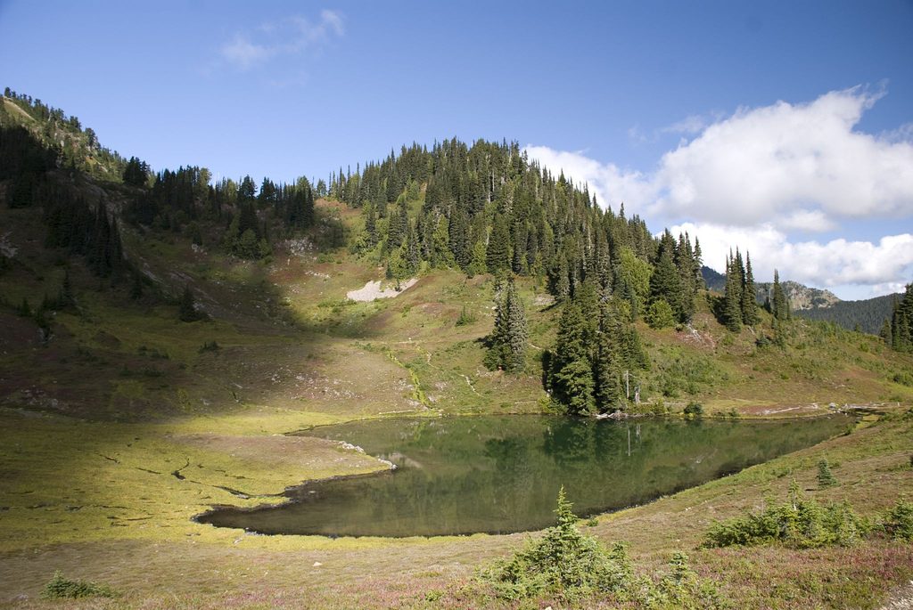 Heart Lake, Olympic National Park