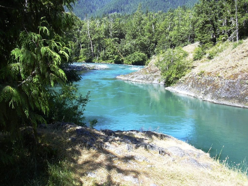 Elwha Picnic Area, Olympic National Park