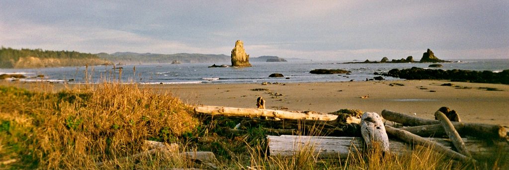 Toleak Point, Olympic National Park
