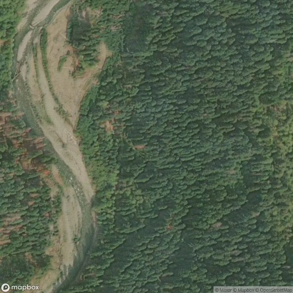 Wilder Creek Shelter, Olympic National Park