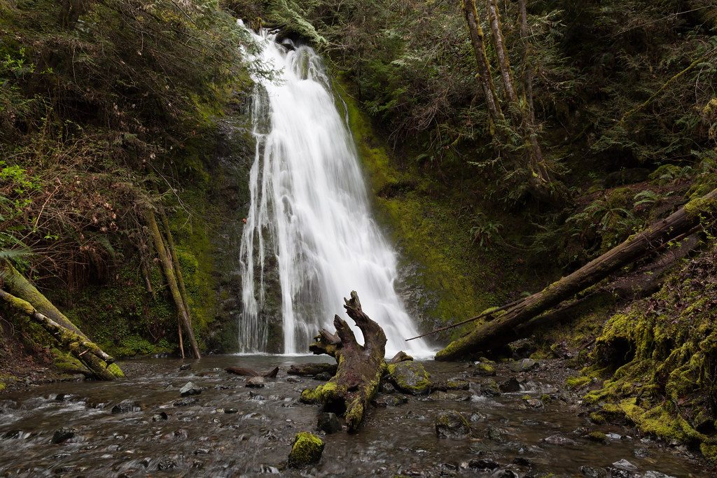 Madison Falls, Olympic National Park