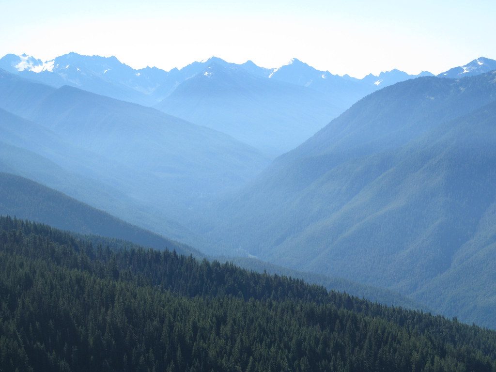 Hurricane Ridge, Olympic National Park