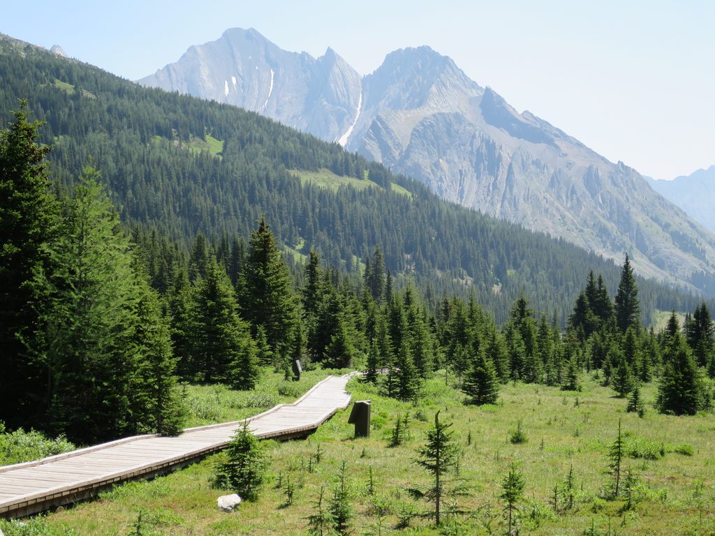 Highwood Pass, Peter Lougheed Provincial Park