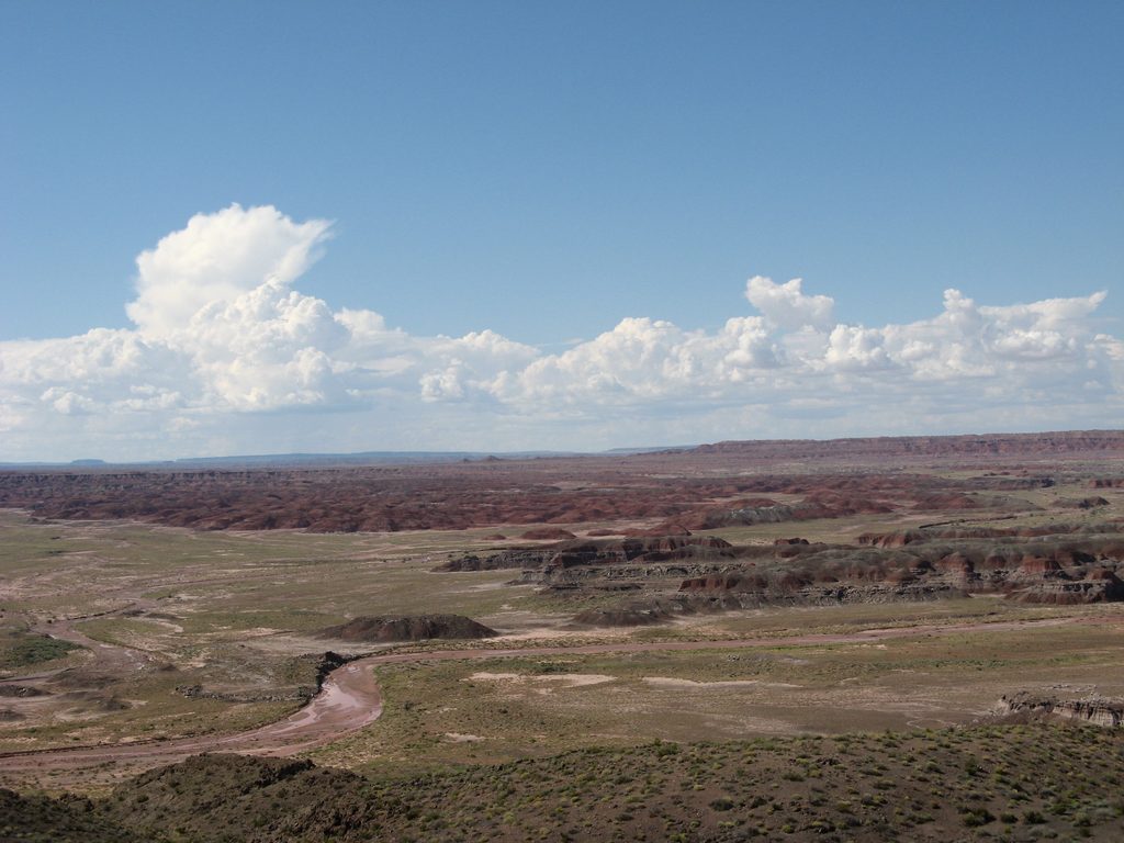 Pintado Point, Petrified Forest National Park