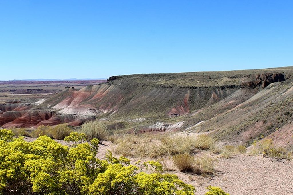 Nizhoni Point, Petrified Forest National Park