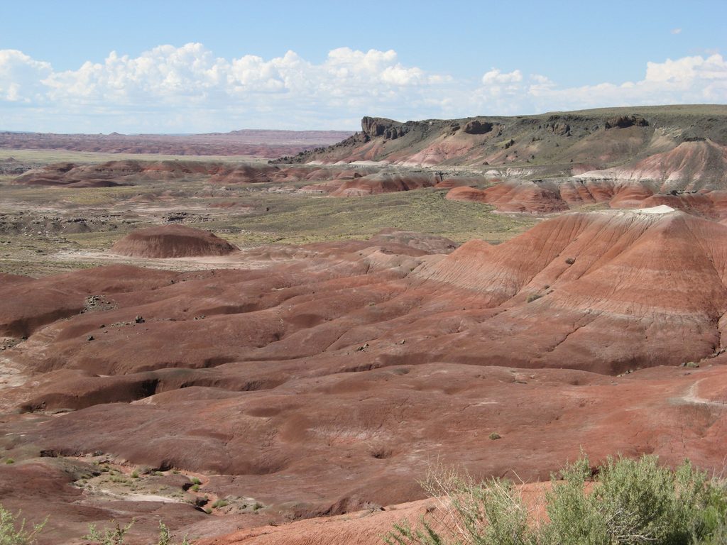Lacey Point, Petrified Forest National Park
