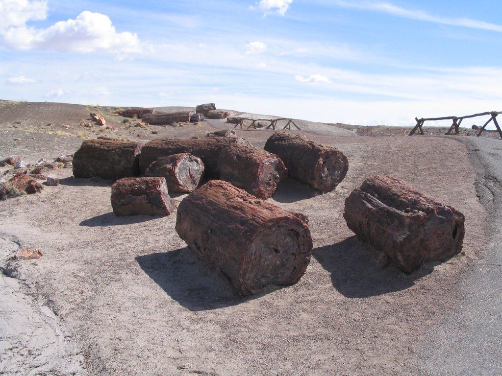 Crystal Forest, Petrified Forest National Park