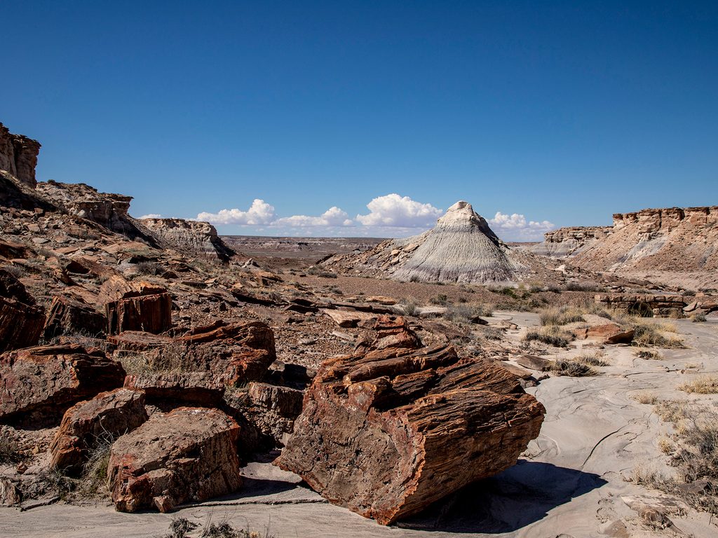 Jasper Forest Overlook, Petrified Forest National Park