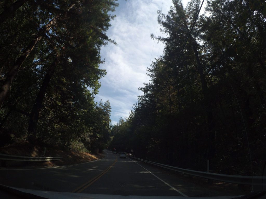 Redwood Grove Picnic Area, Pfeiffer Big Sur State Park