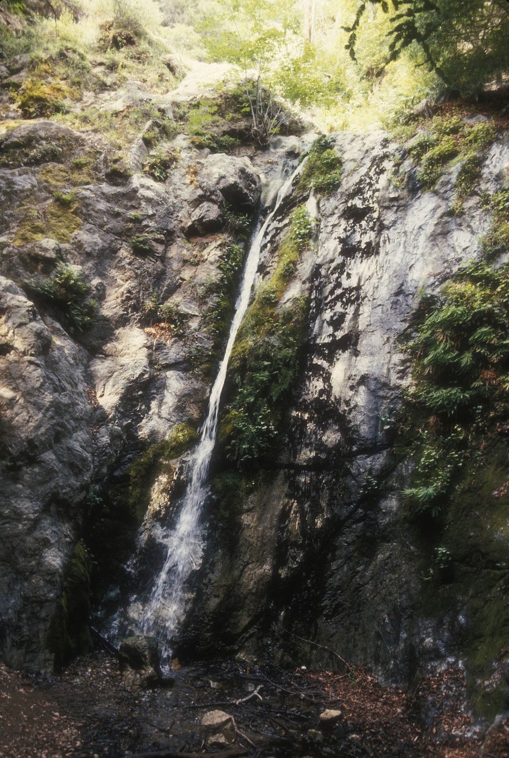 Pfeiffer Falls, Pfeiffer Big Sur State Park