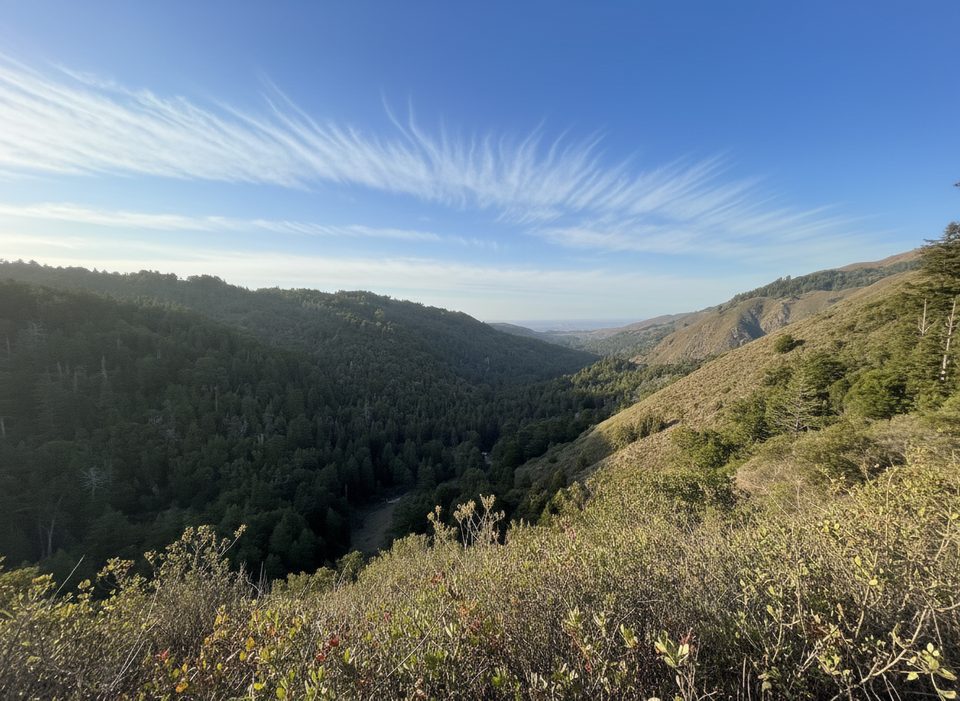 Valley View Overlook, Pfeiffer Big Sur State Park