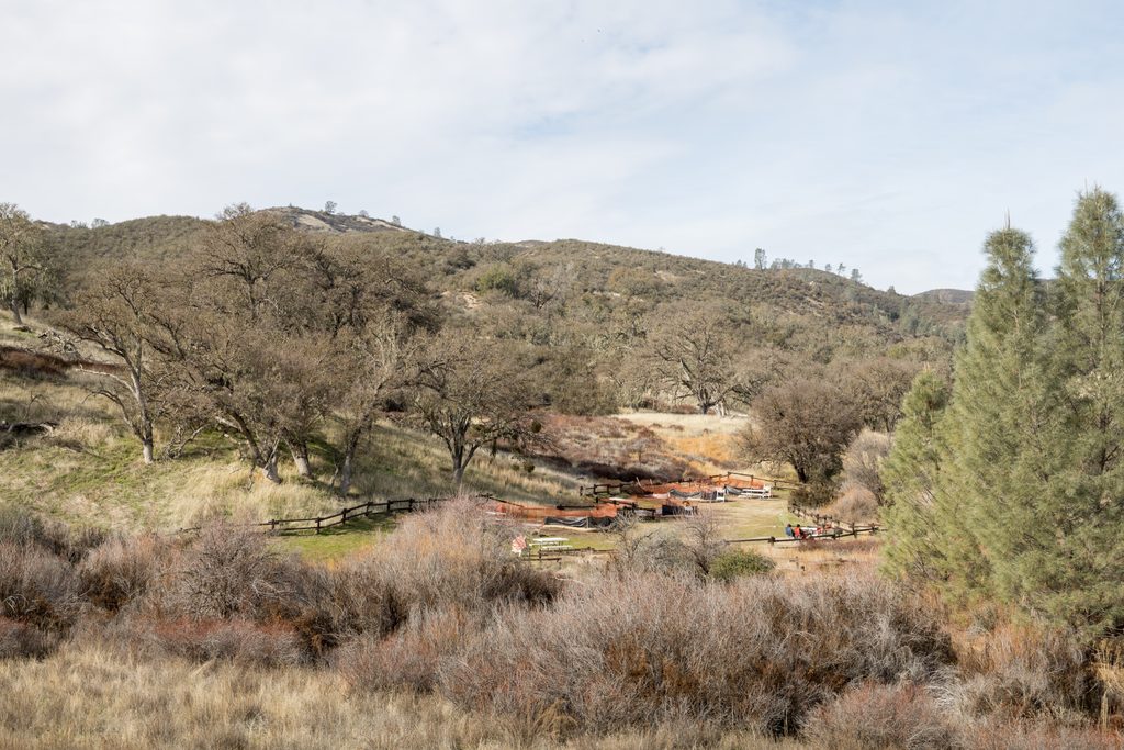 Chaparral Picnic Area, Pinnacles National Park
