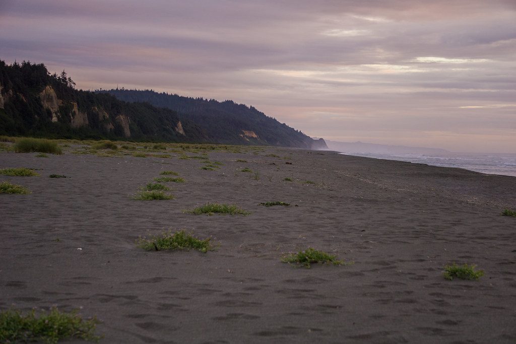 Gold Bluffs Beach, Redwood National Park