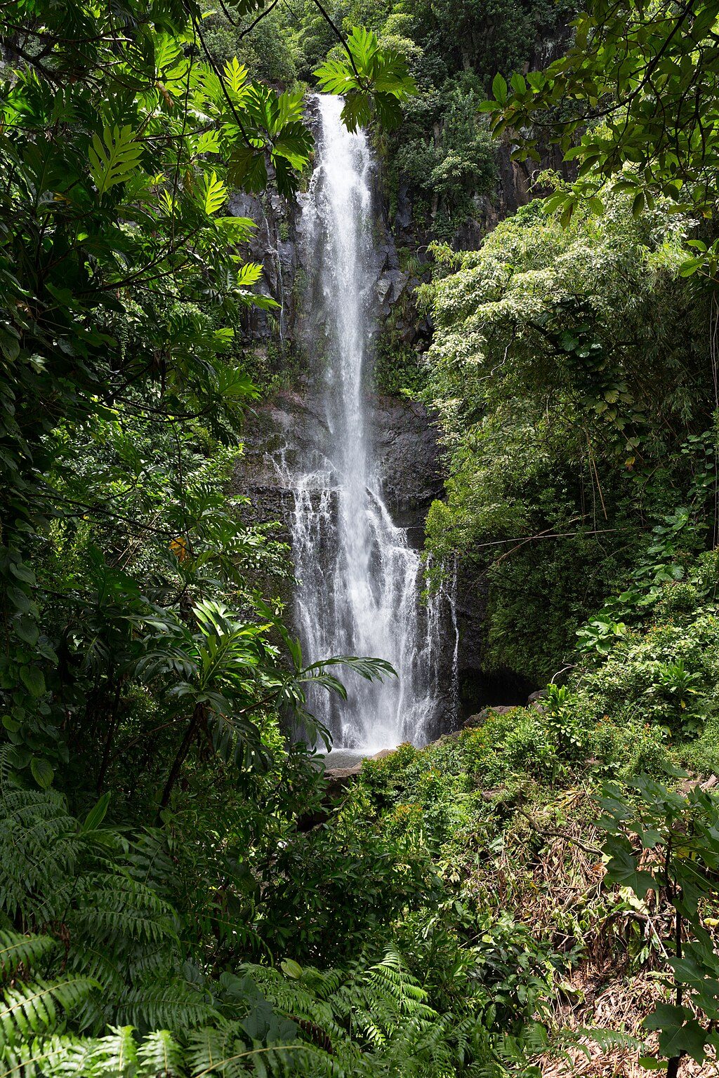Wailua Falls, Road to Hana