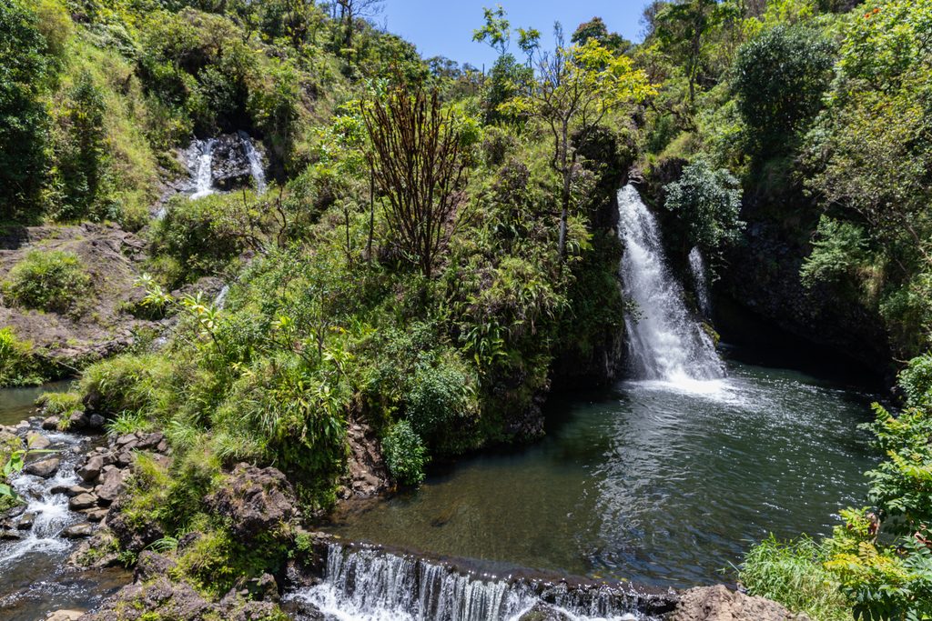 Hanawi Falls, Road to Hana