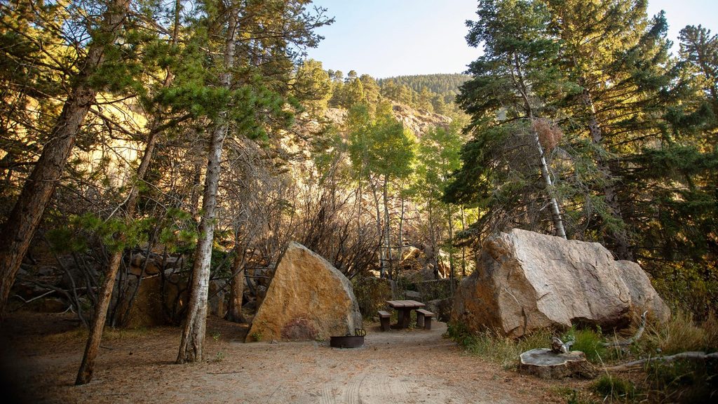 Endo Valley, Rocky Mountain National Park