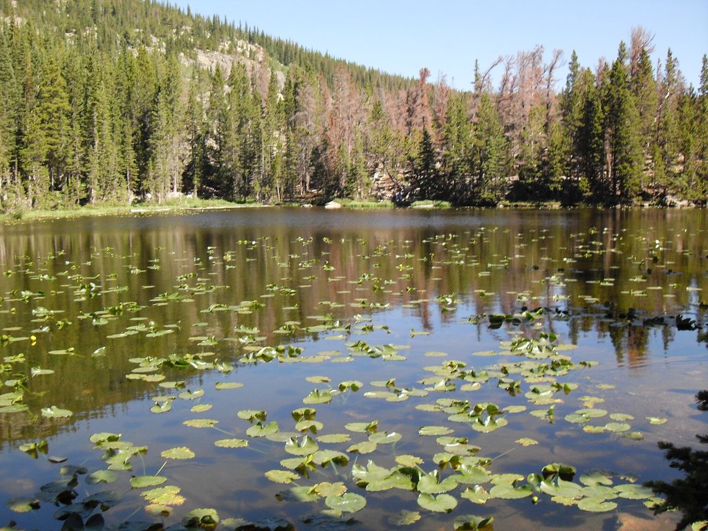 Nymph Lake, Rocky Mountain National Park