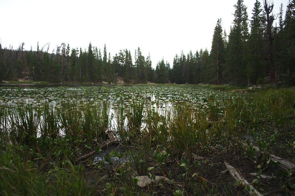 Emerald Lake, Rocky Mountain National Park
