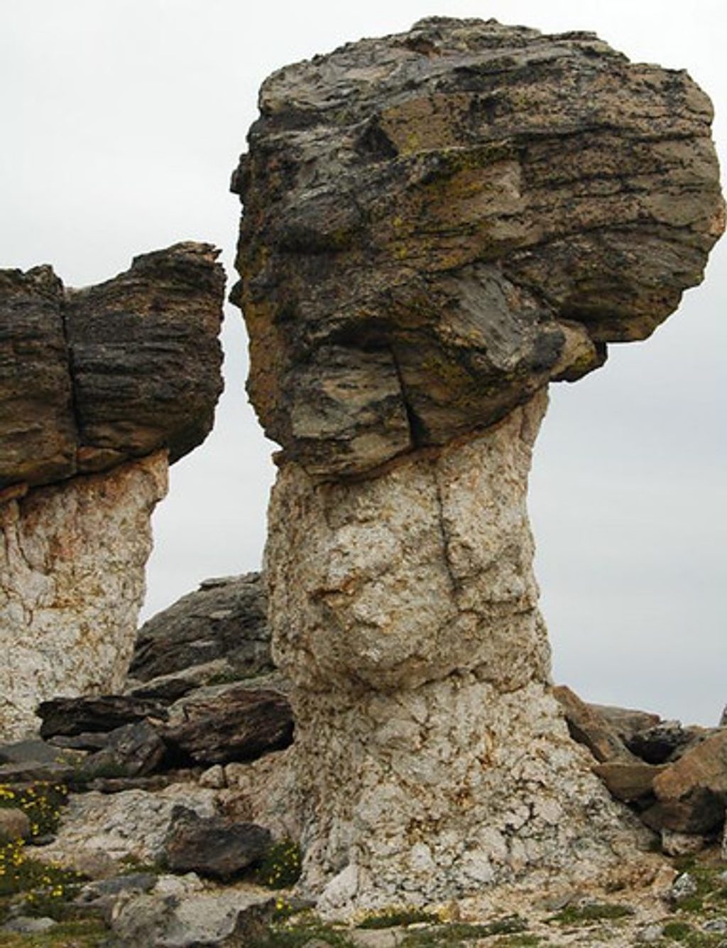 Mushroom Rocks, Rocky Mountain National Park