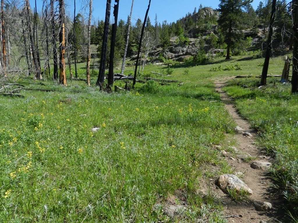 Hollowell Park, Rocky Mountain National Park