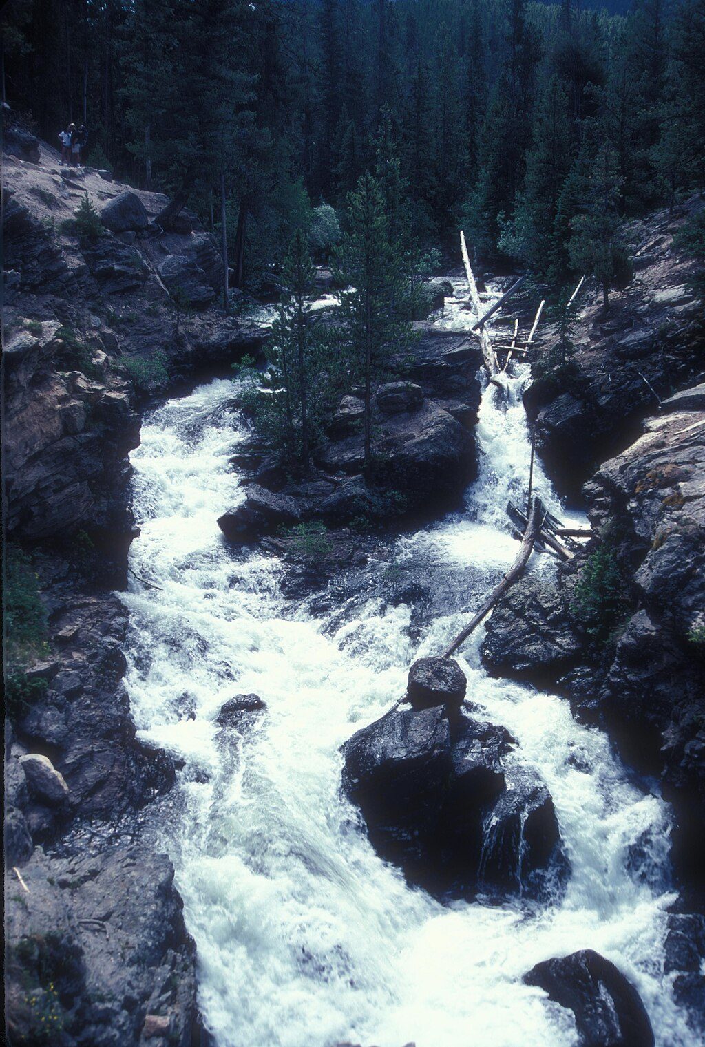 Adams Falls, Rocky Mountain National Park