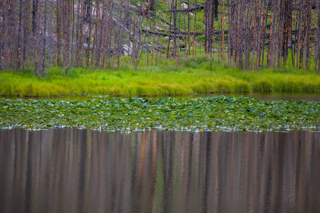 Cub Lake, Rocky Mountain National Park