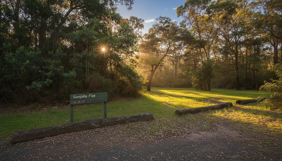 Gunjulla Flat picnic area, Royal National Park