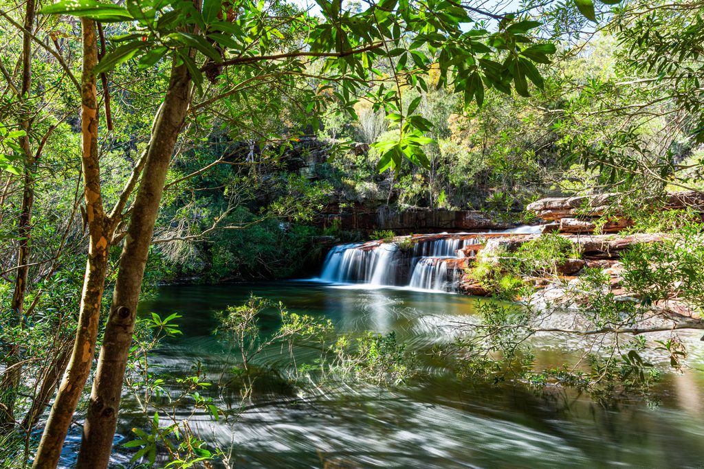 Winifred Falls, Royal National Park