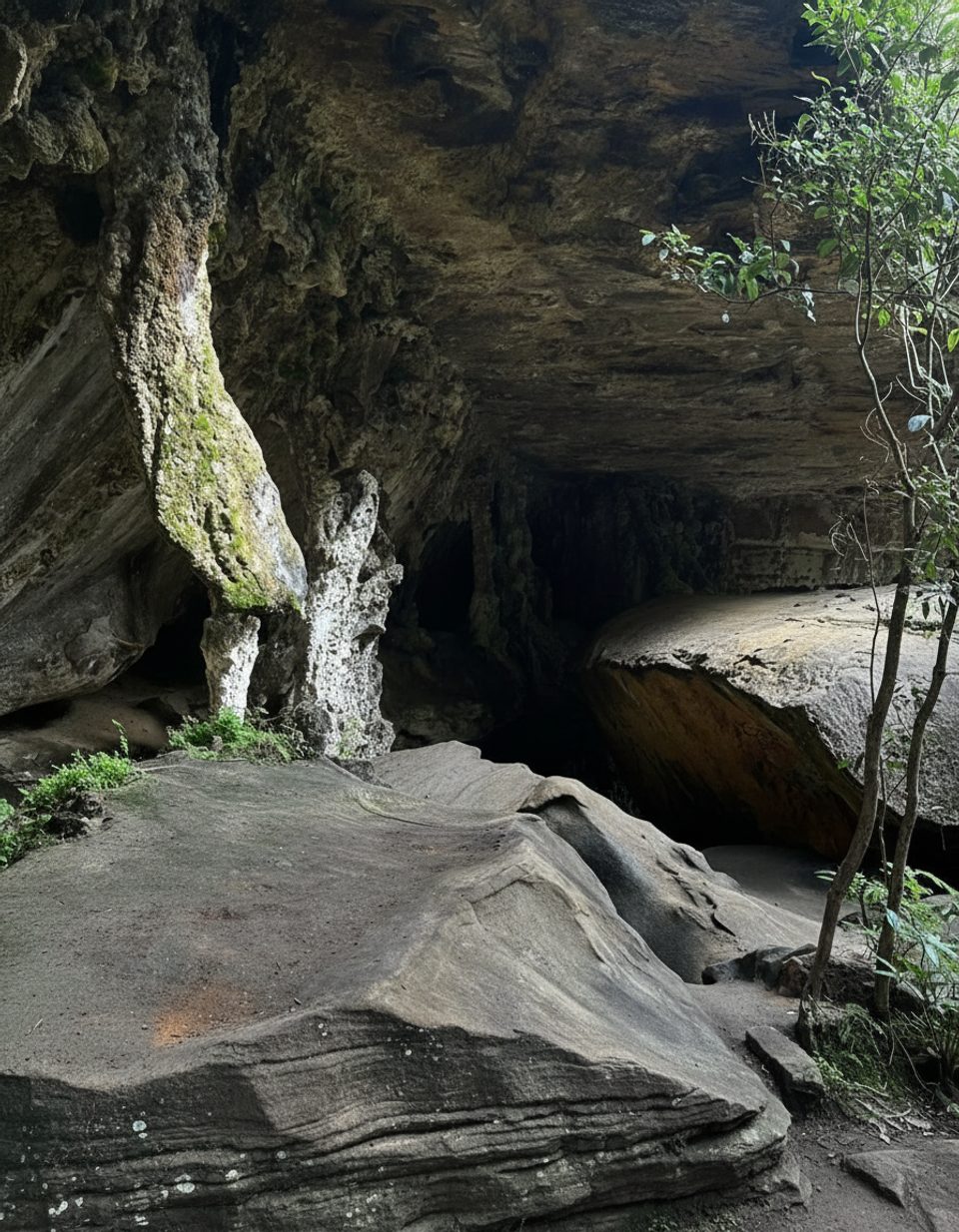 Palona Cave, Royal National Park