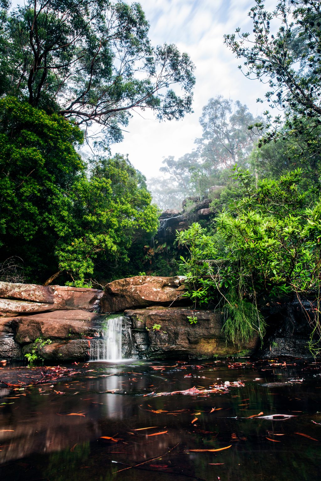 National Falls, Royal National Park