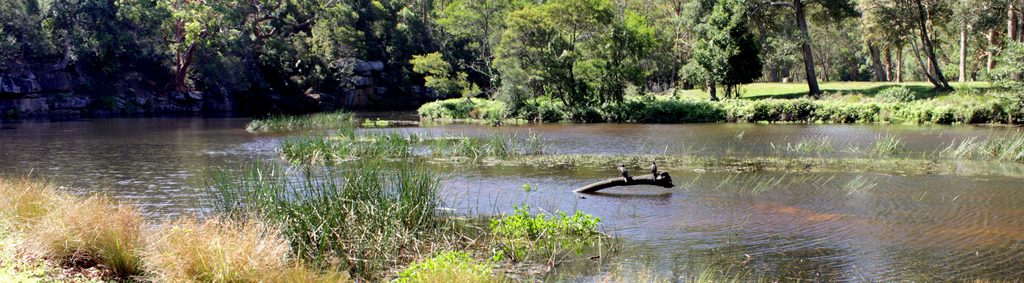 Wattle Forest Picnic Area, Royal National Park