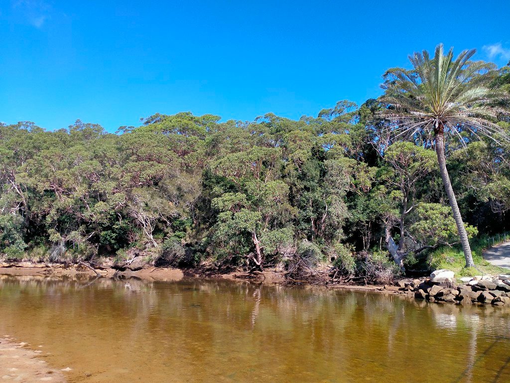 Wattamolla Beach, Royal National Park