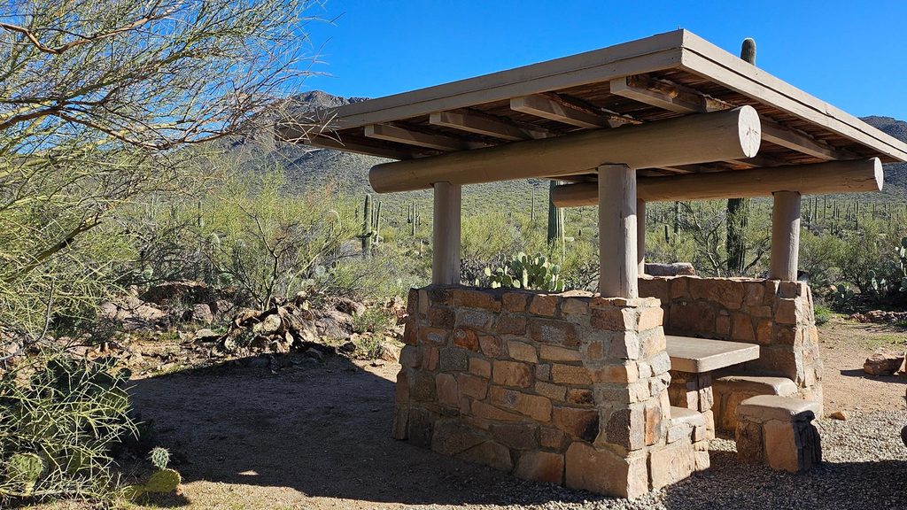 Ez-Kim-In-Zin Picnic Area, Saguaro National Park