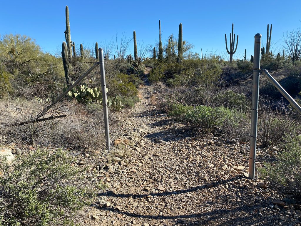 Gould Mine, Saguaro National Park