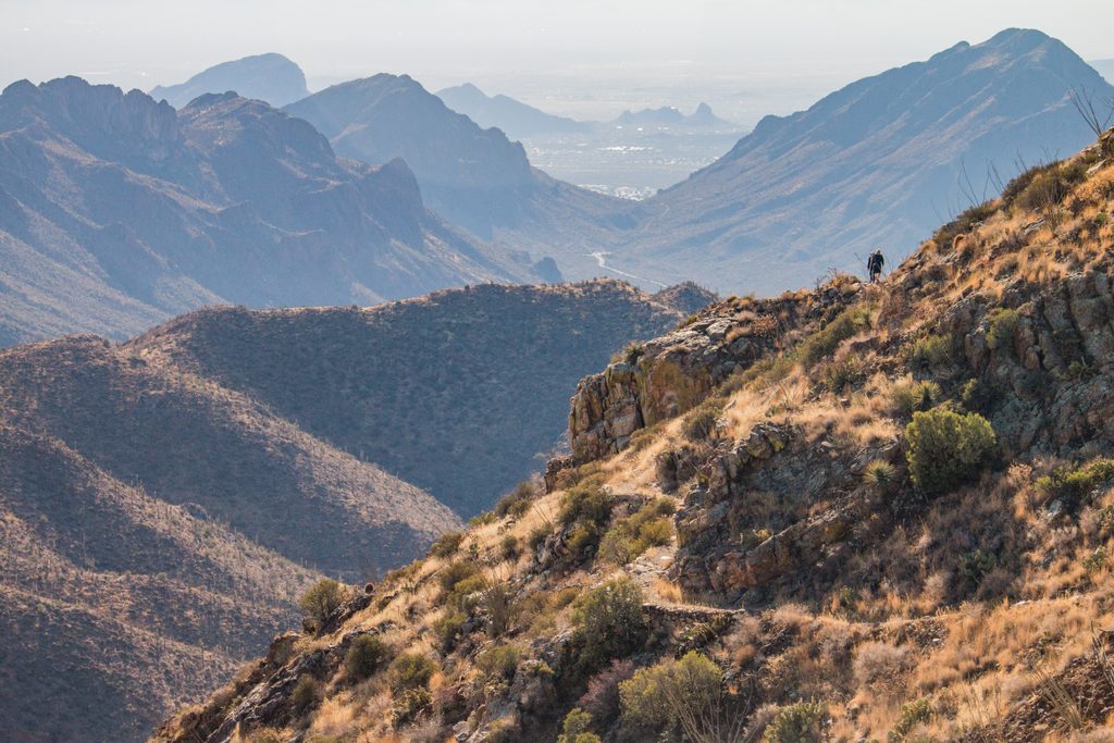 Wasson Peak, Saguaro National Park