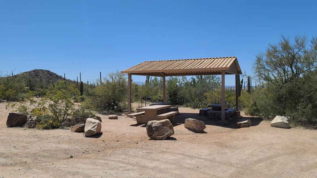 Sus Picnic Area, Saguaro National Park
