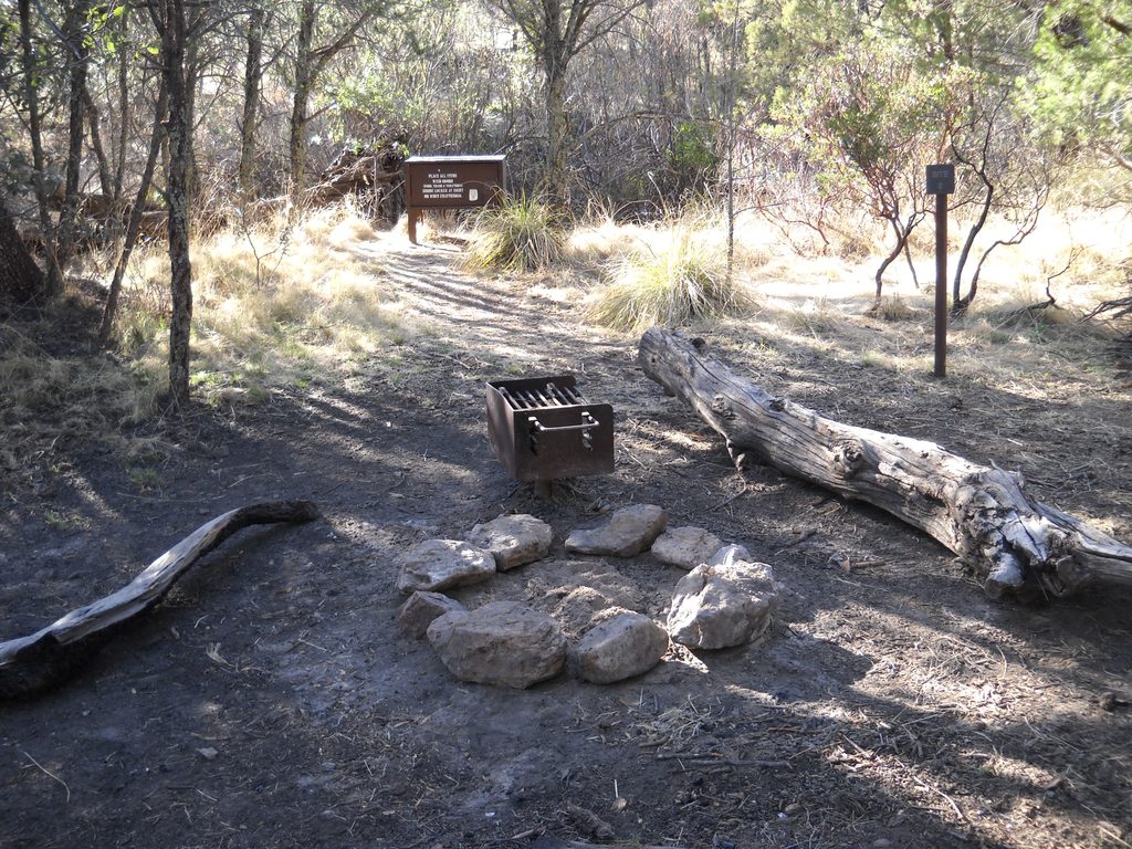 Juniper Basin Campground, Saguaro National Park