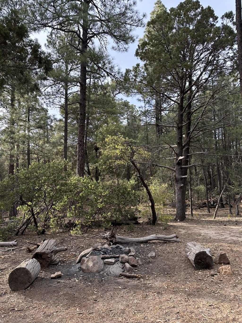 Happy Valley Saddle Campground, Saguaro National Park