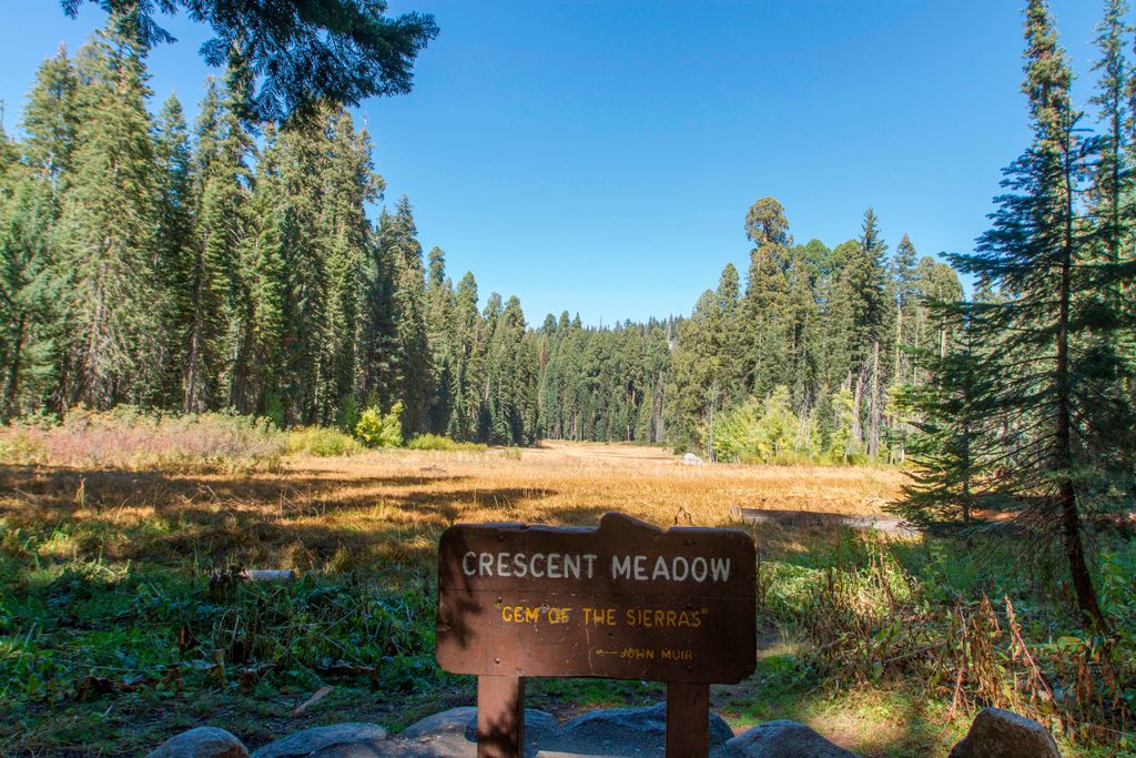 Crescent Meadow, Sequoia National Park