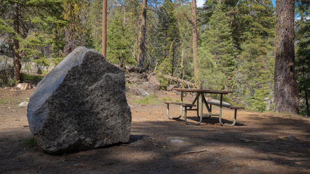 Lodgepole Picnic Area, Sequoia National Park
