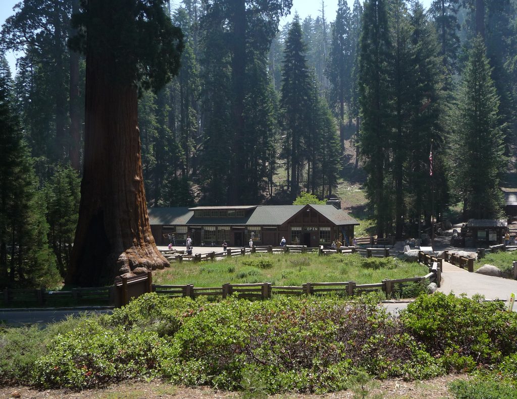 Giant Forest Museum, Sequoia National Park