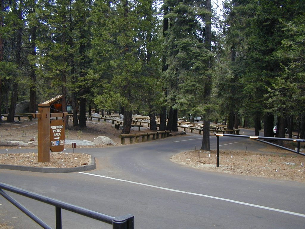 Pinewood Picnic Area, Sequoia National Park