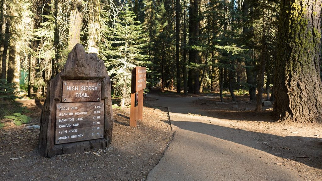 High Sierra Trailhead, Sequoia National Park